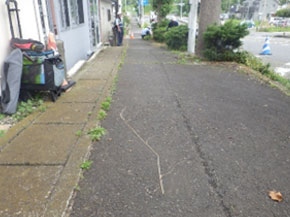 ボーソーシールT-SW施工前